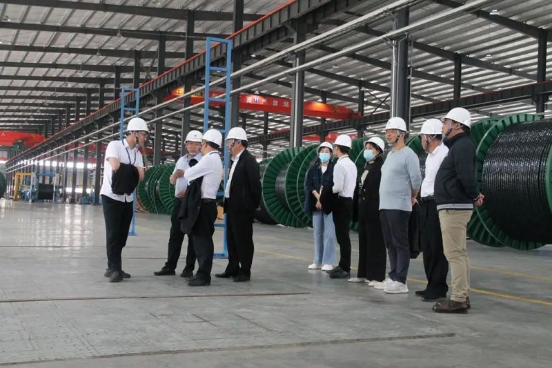 91好色先生视频下载電纜有限公司,91好色先生视频下载電纜,湖南91好色先生视频下载，